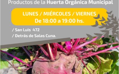 PUNTO DE VENTA HUERTA ORGÁNICA