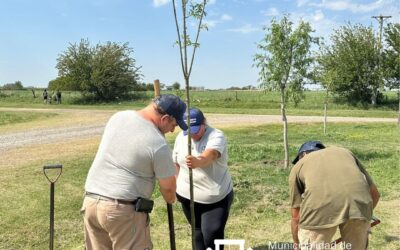 MÁS ÁRBOLES, MÁS VIDA