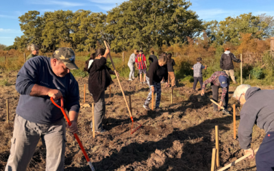 SE REACTIVA LA HUERTA 🌱🥕🥔🥬