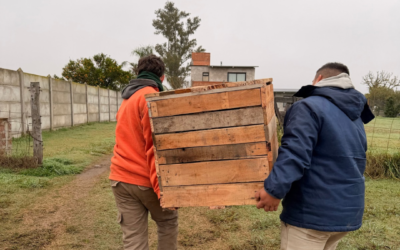 El PROGRAMA DE COMPOSTAJE DOMICILIARIO, SIGUE SUMANDO FAMILIAS ♻️🌱